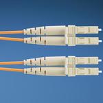 F6E10-10M20Y