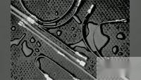 899003-000