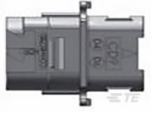 ZPF000000000167612