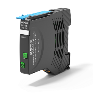 REX12D-TA2-100-DC24V-1A/1A