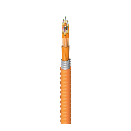 FI1D072FK