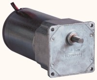 80835003