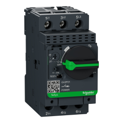 GV2P21 by schneider electric