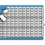 54374