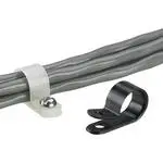 CCH31-S10-M0