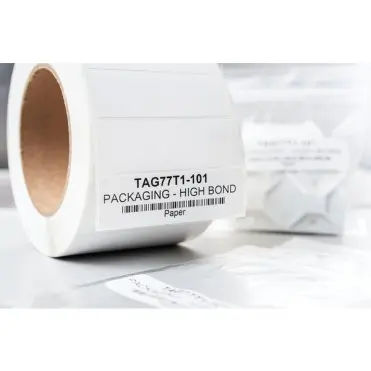 TAG77T1-101