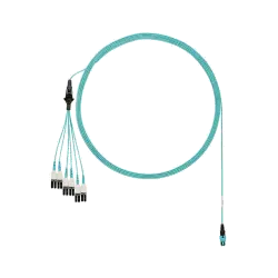 FXTRL8NUHSNM003