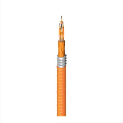 FI2D048FK-ORG
