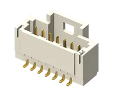 T1M-10-F-SV-L-P