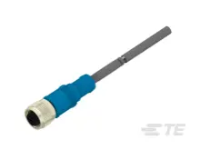 T4151320004-003