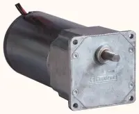 80835004