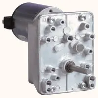 82802024
