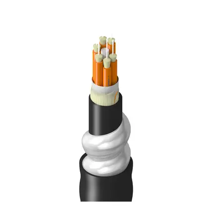 TT-1BB-006-LINN