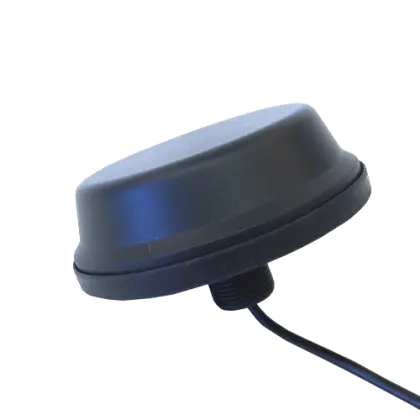 TANGO11A/5M/LL/SMAM/S/S/19