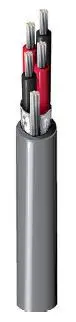 9554-CHR-1000